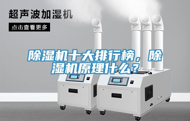除濕機(jī)十大排行榜，除濕機(jī)原理什么？