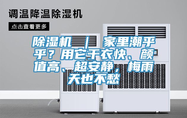 除濕機(jī) ｜ 家里潮乎乎？用它干衣快、顏值高、超安靜，梅雨天也不愁