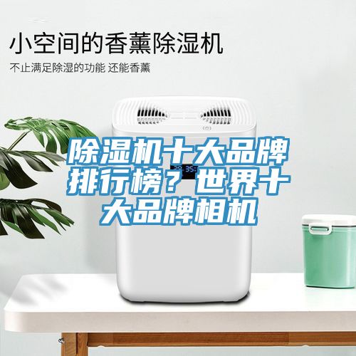 除濕機(jī)十大品牌排行榜？世界十大品牌相機(jī)