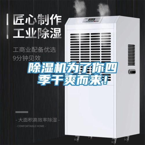 除濕機為了你四季干爽而來！
