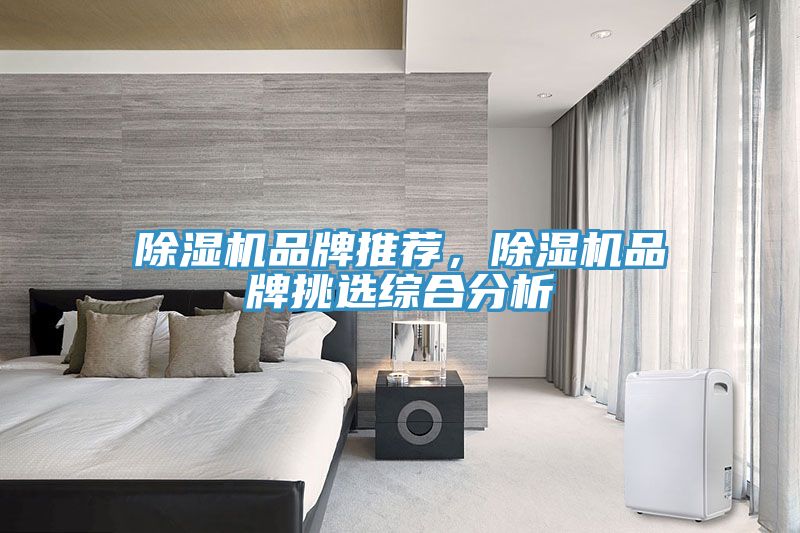 除濕機(jī)品牌推薦，除濕機(jī)品牌挑選綜合分析