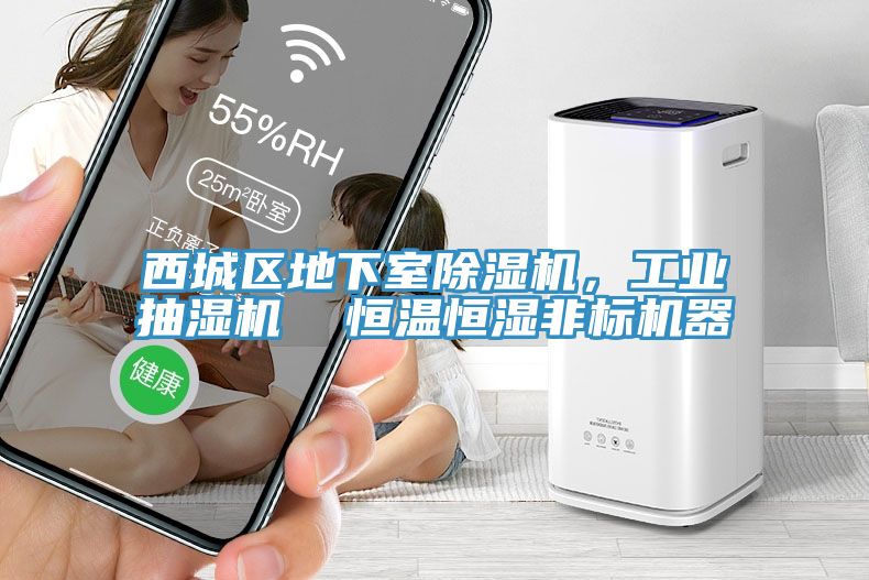 西城區(qū)地下室除濕機(jī)，工業(yè)抽濕機(jī)  恒溫恒濕非標(biāo)機(jī)器