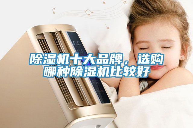 除濕機(jī)十大品牌，選購(gòu)哪種除濕機(jī)比較好