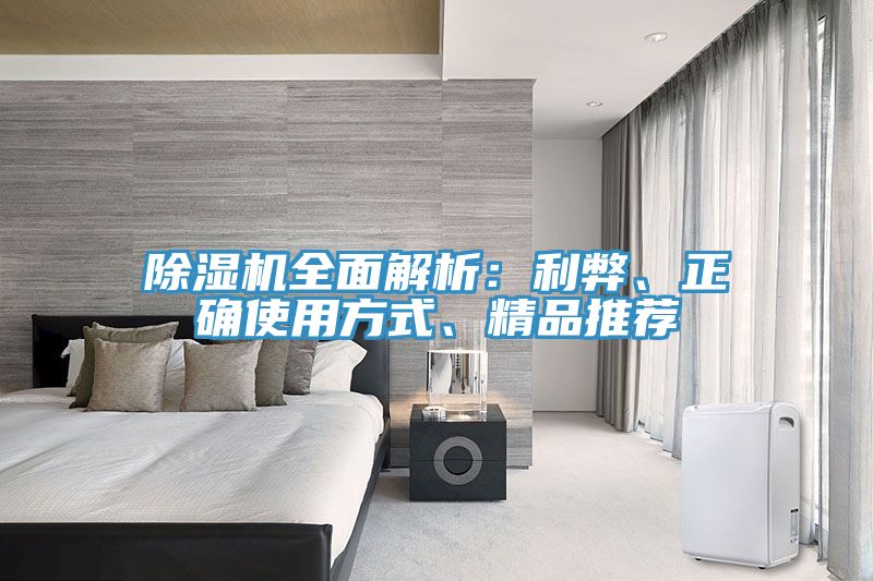 除濕機全面解析：利弊、正確使用方式、精品推薦