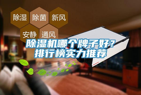 除濕機(jī)哪個牌子好？排行榜實力推薦