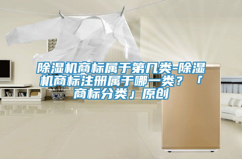除濕機(jī)商標(biāo)屬于第幾類-除濕機(jī)商標(biāo)注冊屬于哪一類？「商標(biāo)分類」原創(chuàng)