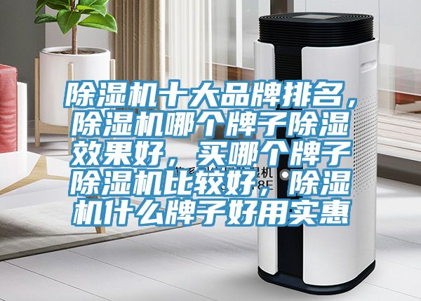 除濕機(jī)十大品牌排名，除濕機(jī)哪個牌子除濕效果好，買哪個牌子除濕機(jī)比較好，除濕機(jī)什么牌子好用實(shí)惠