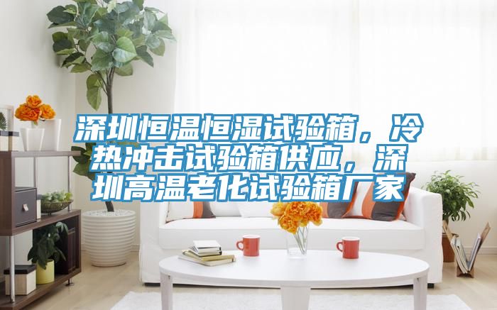 深圳恒溫恒濕試驗箱，冷熱沖擊試驗箱供應(yīng)，深圳高溫老化試驗箱廠家