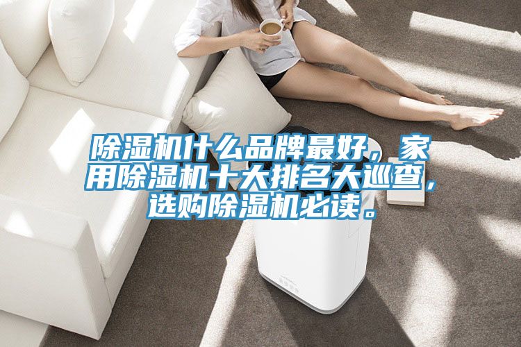 除濕機(jī)什么品牌最好，家用除濕機(jī)十大排名大巡查，選購除濕機(jī)必讀。