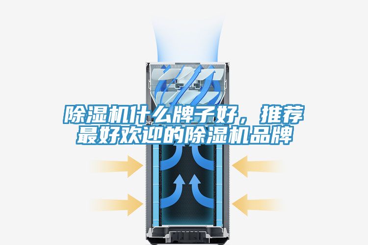 除濕機(jī)什么牌子好，推薦最好歡迎的除濕機(jī)品牌