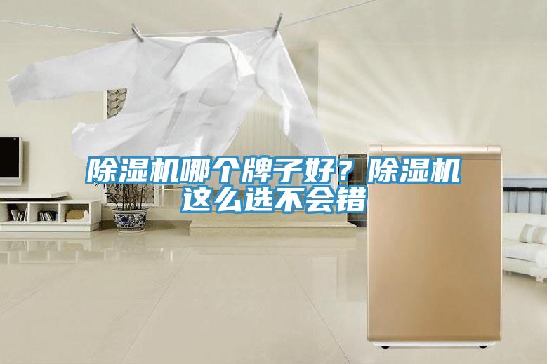 除濕機(jī)哪個牌子好？除濕機(jī)這么選不會錯
