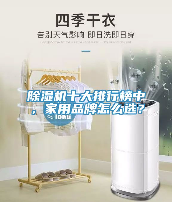 除濕機(jī)十大排行榜中，家用品牌怎么選？