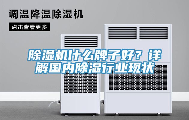 除濕機什么牌子好？詳解國內(nèi)除濕行業(yè)現(xiàn)狀