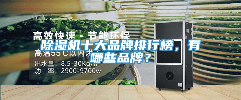 除濕機(jī)十大品牌排行榜，有哪些品牌？