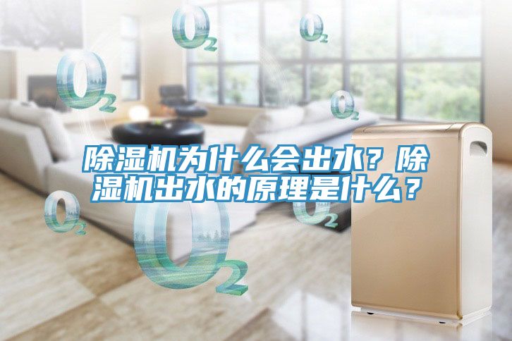 除濕機(jī)為什么會(huì)出水？除濕機(jī)出水的原理是什么？