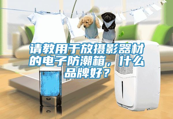 請教用于放攝影器材的電子防潮箱，什么品牌好？