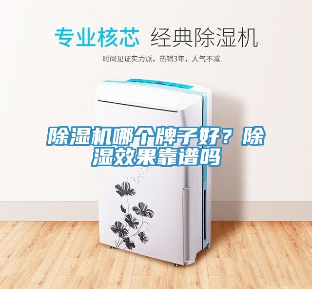 除濕機(jī)哪個牌子好？除濕效果靠譜嗎