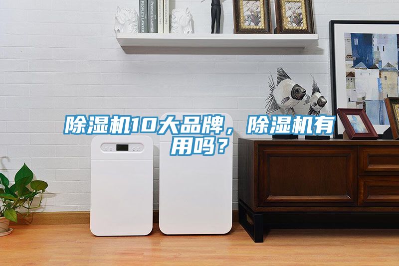 除濕機(jī)10大品牌，除濕機(jī)有用嗎？