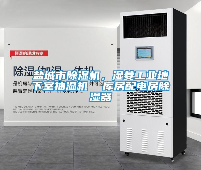 鹽城市除濕機(jī)，濕菱工業(yè)地下室抽濕機(jī)  庫房配電房除濕器