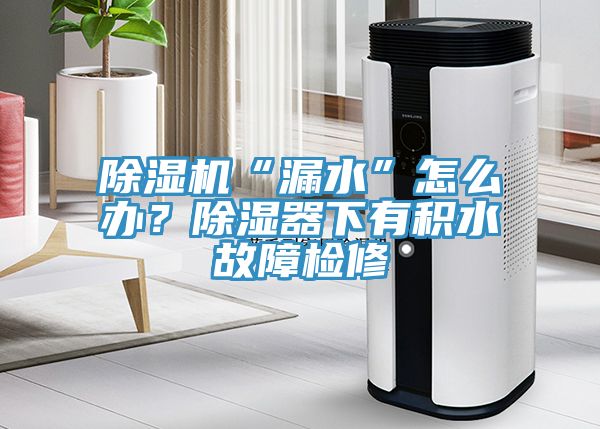 除濕機(jī)“漏水”怎么辦？除濕器下有積水故障檢修