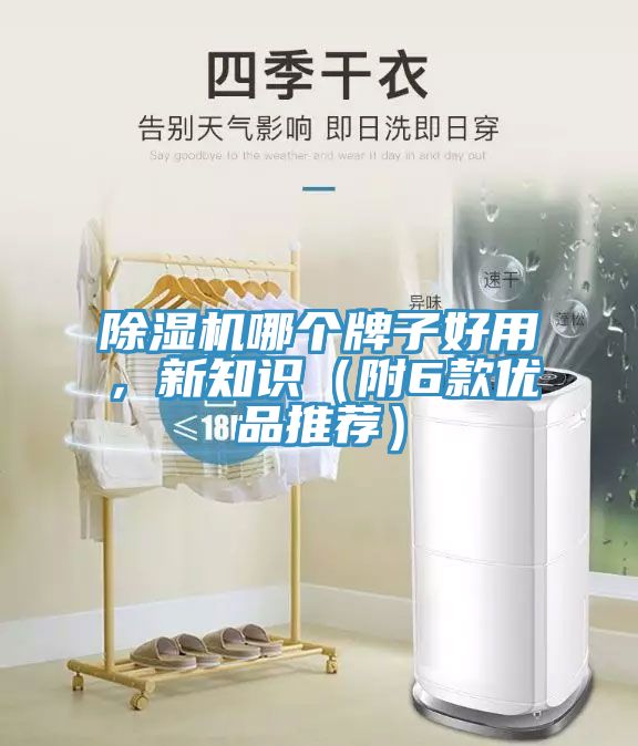 除濕機哪個牌子好用，新知識（附6款優(yōu)品推薦）