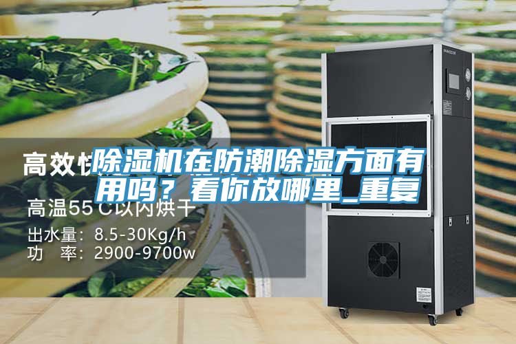 除濕機(jī)在防潮除濕方面有用嗎？看你放哪里_重復(fù)