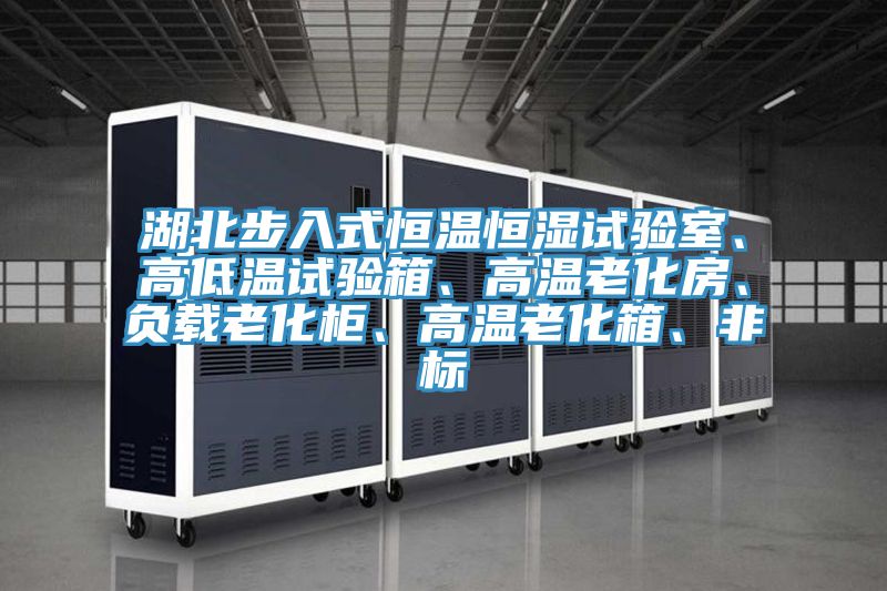 湖北步入式恒溫恒濕試驗(yàn)室、高低溫試驗(yàn)箱、高溫老化房、負(fù)載老化柜、高溫老化箱、非標(biāo)