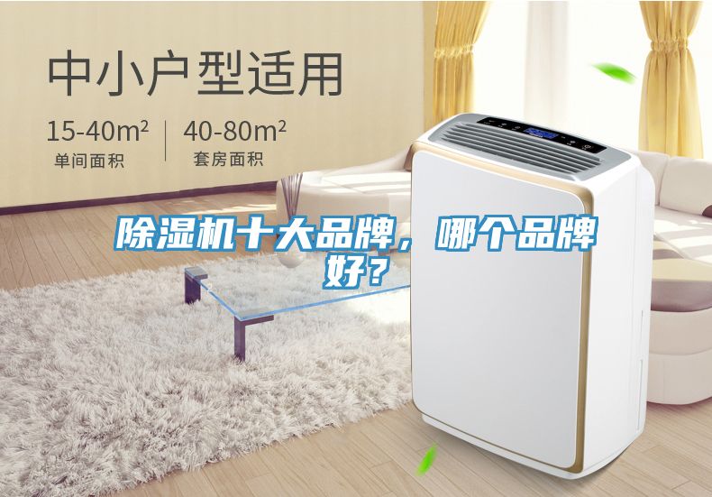 除濕機(jī)十大品牌，哪個(gè)品牌好？