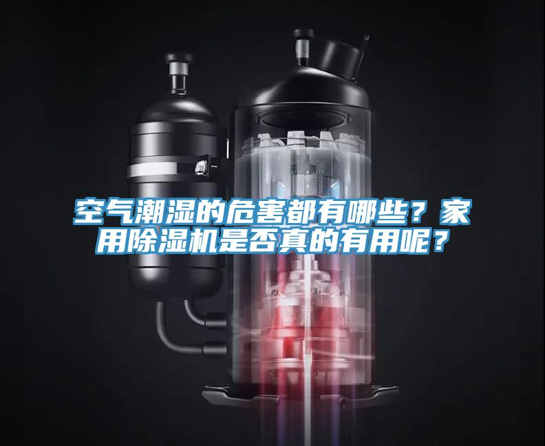 空氣潮濕的危害都有哪些？家用除濕機(jī)是否真的有用呢？