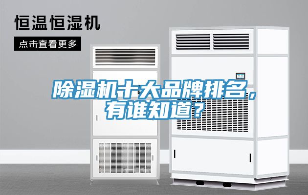 除濕機十大品牌排名，有誰知道？