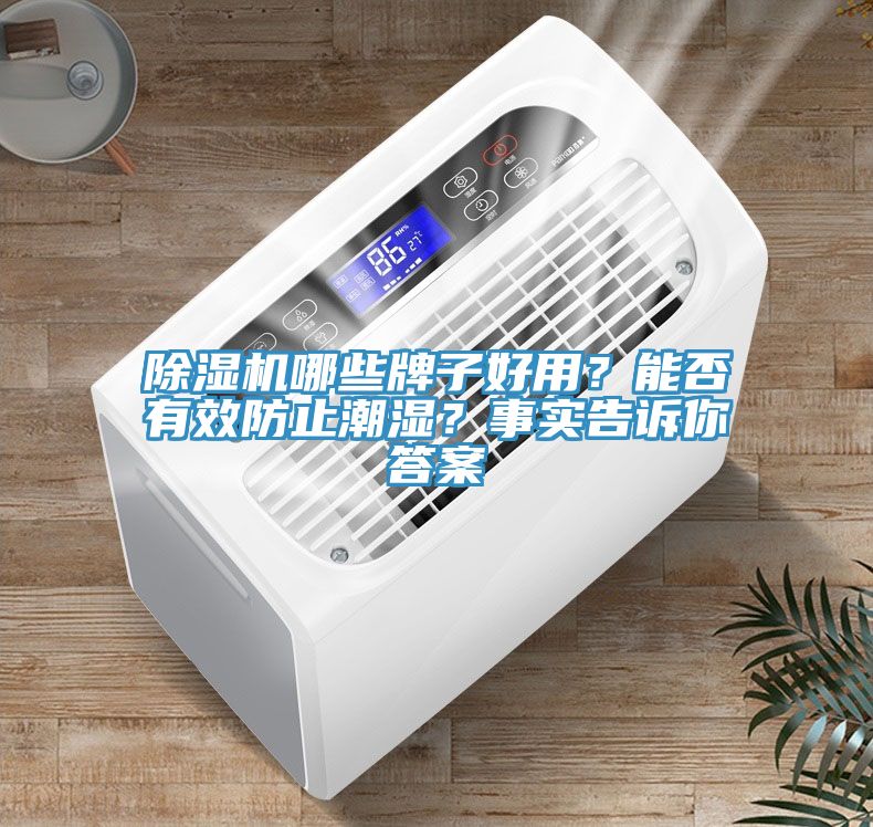 除濕機(jī)哪些牌子好用？能否有效防止潮濕？事實(shí)告訴你答案
