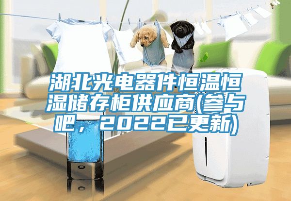 湖北光電器件恒溫恒濕儲存柜供應(yīng)商(參與吧，2022已更新)
