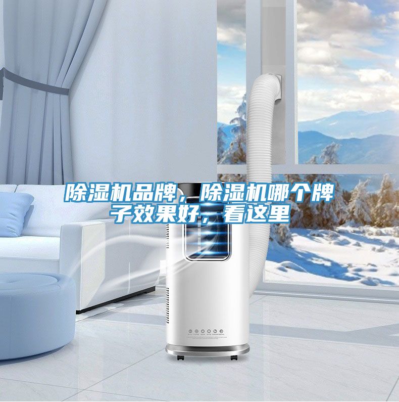 除濕機品牌，除濕機哪個牌子效果好，看這里