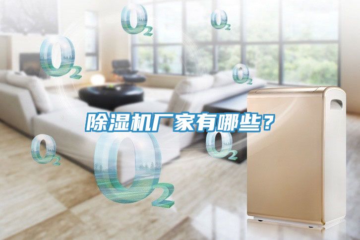 除濕機(jī)廠家有哪些？