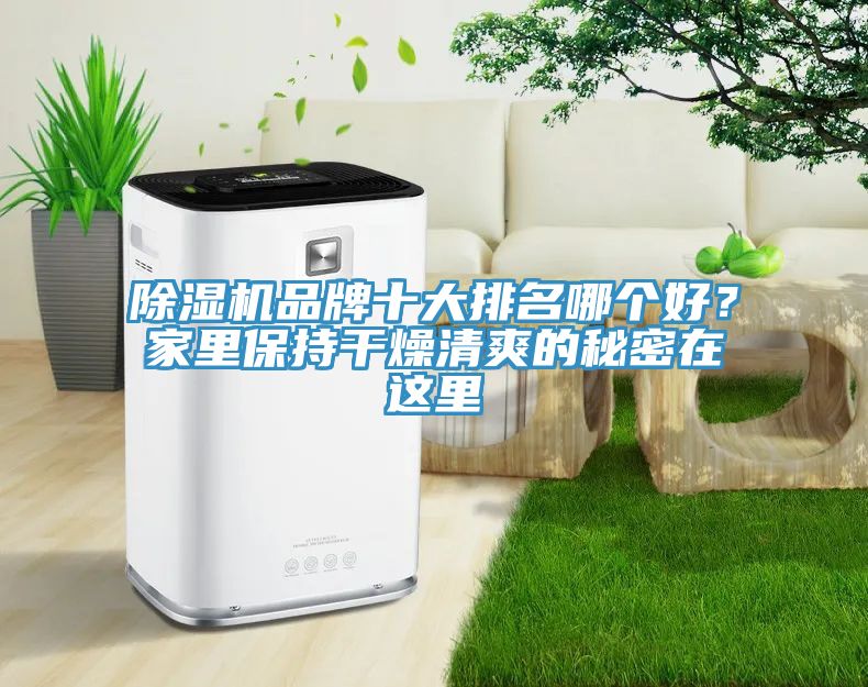 除濕機(jī)品牌十大排名哪個(gè)好？家里保持干燥清爽的秘密在這里