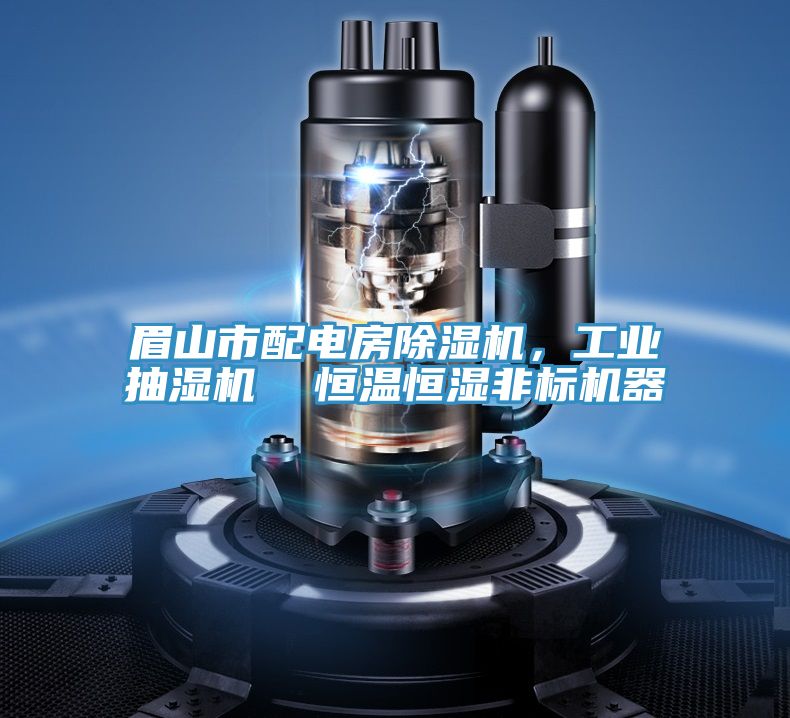 眉山市配電房除濕機(jī)，工業(yè)抽濕機(jī)  恒溫恒濕非標(biāo)機(jī)器