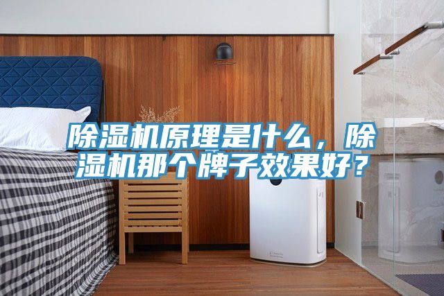 除濕機(jī)原理是什么，除濕機(jī)那個(gè)牌子效果好？