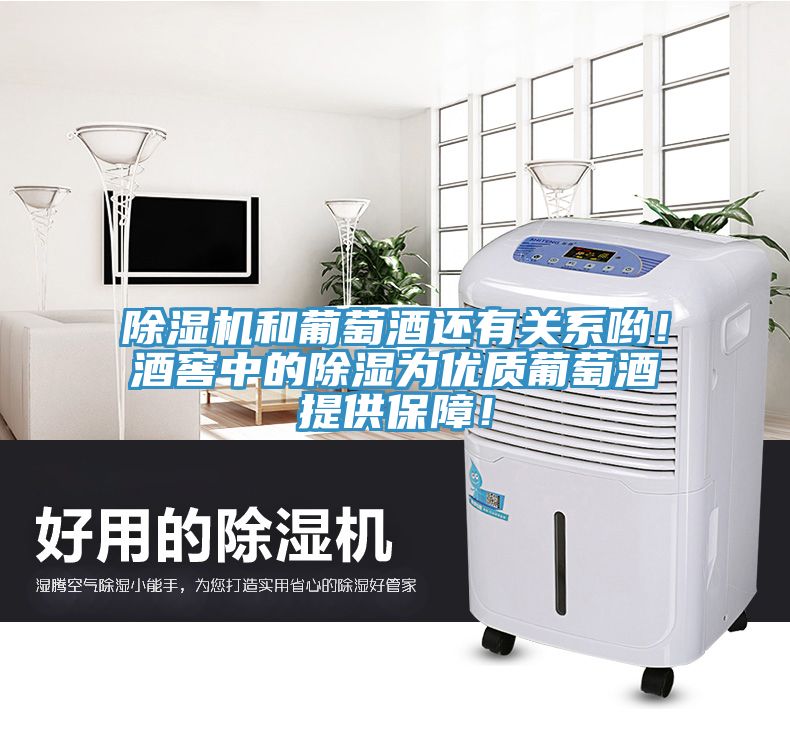 除濕機和葡萄酒還有關系喲！酒窖中的除濕為優(yōu)質葡萄酒提供保障！