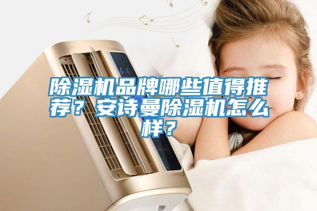除濕機品牌哪些值得推薦？安詩曼除濕機怎么樣？