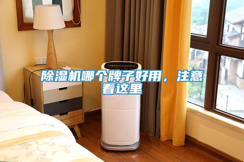 除濕機哪個牌子好用，注意看這里