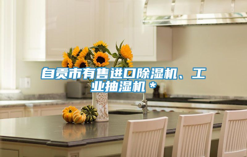 自貢市有售進(jìn)口除濕機(jī)、工業(yè)抽濕機(jī)＊