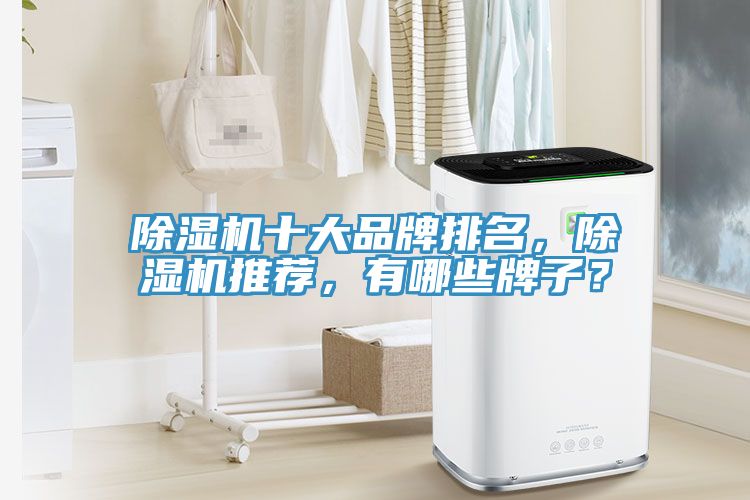除濕機十大品牌排名，除濕機推薦，有哪些牌子？