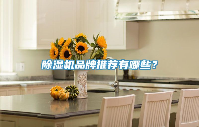 除濕機(jī)品牌推薦有哪些？