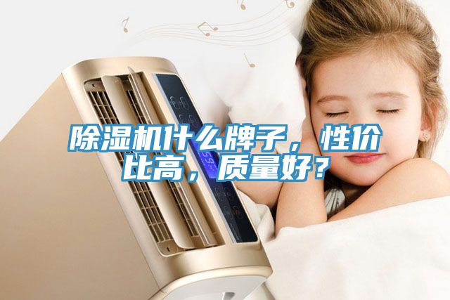 除濕機什么牌子，性價比高，質(zhì)量好？