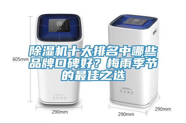 除濕機(jī)十大排名中哪些品牌口碑好？梅雨季節(jié)的最佳之選