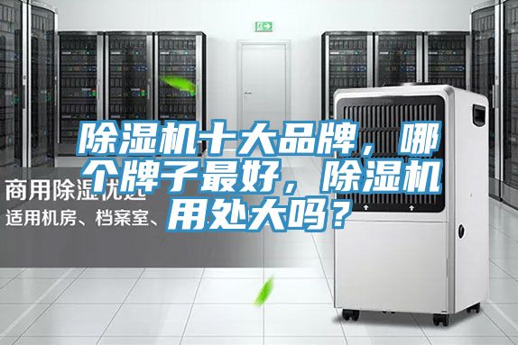 除濕機(jī)十大品牌，哪個(gè)牌子最好，除濕機(jī)用處大嗎？