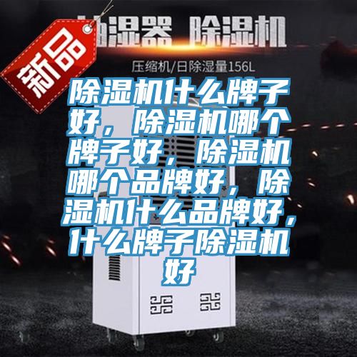 除濕機(jī)什么牌子好，除濕機(jī)哪個(gè)牌子好，除濕機(jī)哪個(gè)品牌好，除濕機(jī)什么品牌好，什么牌子除濕機(jī)好