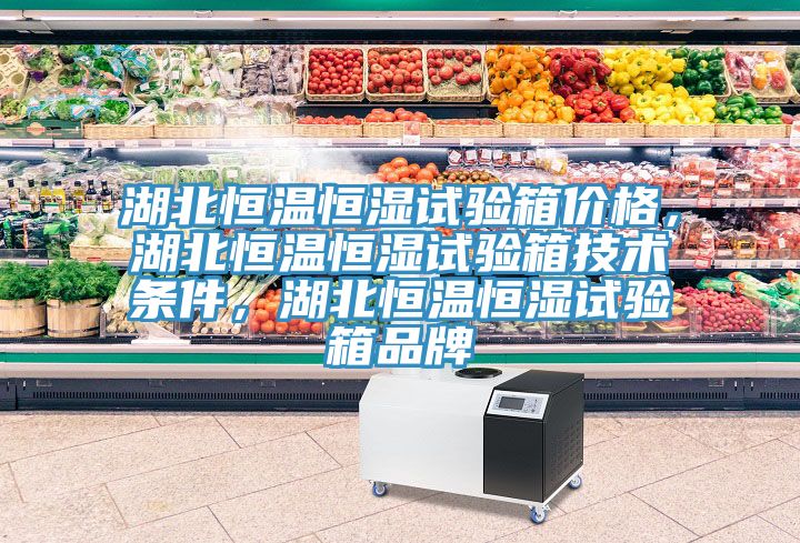 湖北恒溫恒濕試驗箱價格，湖北恒溫恒濕試驗箱技術條件，湖北恒溫恒濕試驗箱品牌