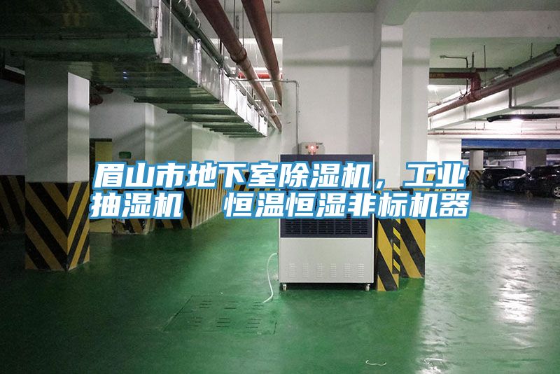 眉山市地下室除濕機(jī)，工業(yè)抽濕機(jī)  恒溫恒濕非標(biāo)機(jī)器