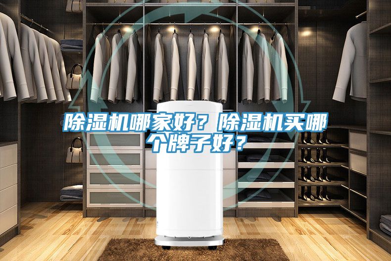 除濕機(jī)哪家好？除濕機(jī)買哪個牌子好？
